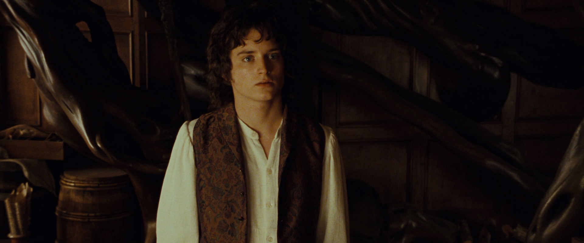 The Lord of the Rings: The Fellowship of the Ring (2001) screencap 3567