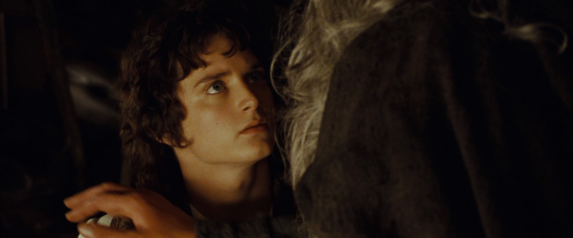 The Lord of the Rings: The Fellowship of the Ring (2001) screencap 3576