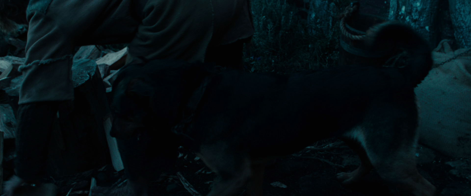 The Lord of the Rings: The Fellowship of the Ring (2001) HD screenshot 3863