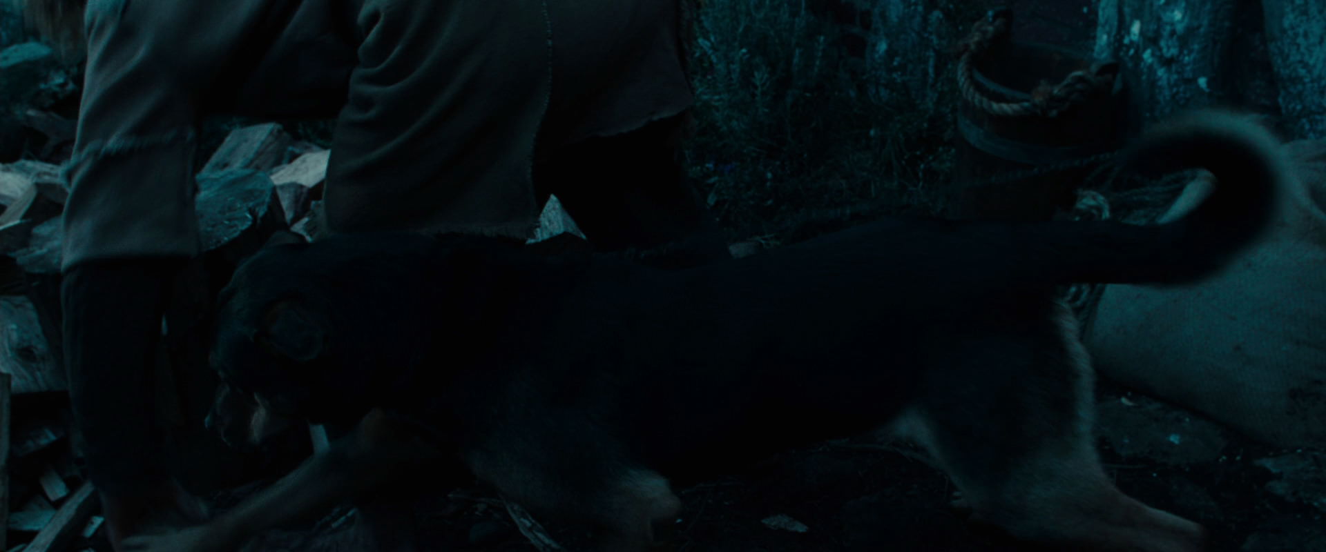 The Lord of the Rings: The Fellowship of the Ring (2001) screencap 3864