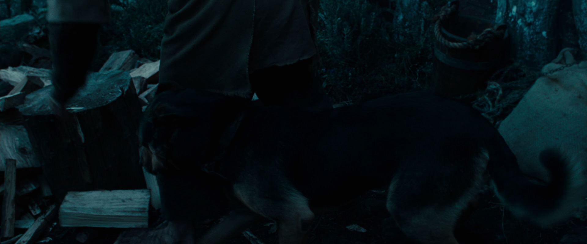 The Lord of the Rings: The Fellowship of the Ring (2001) movie still 3865