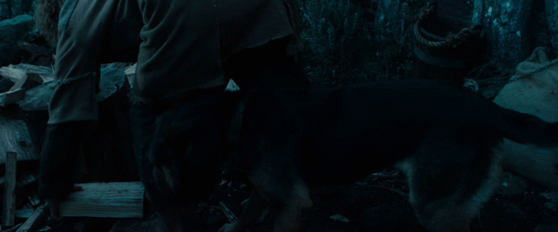 The Lord of the Rings: The Fellowship of the Ring (2001) HD screenshot 3866