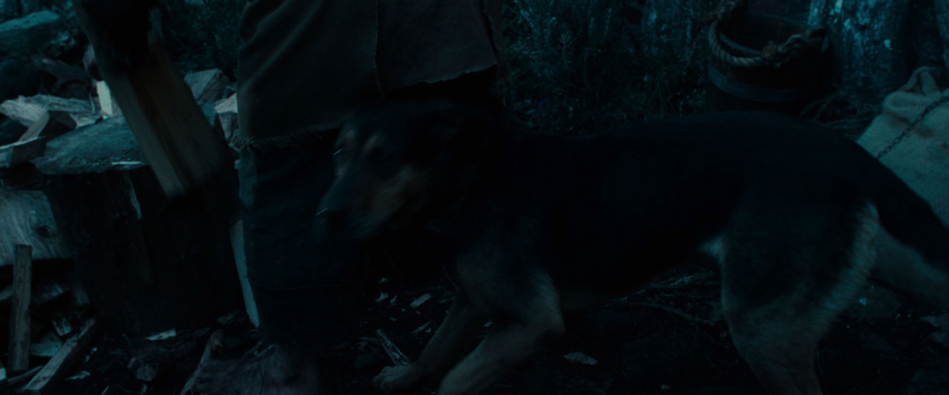The Lord of the Rings: The Fellowship of the Ring (2001) screencap 3867