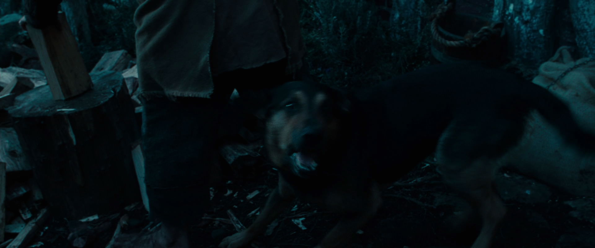 The Lord of the Rings: The Fellowship of the Ring (2001) movie still 3868