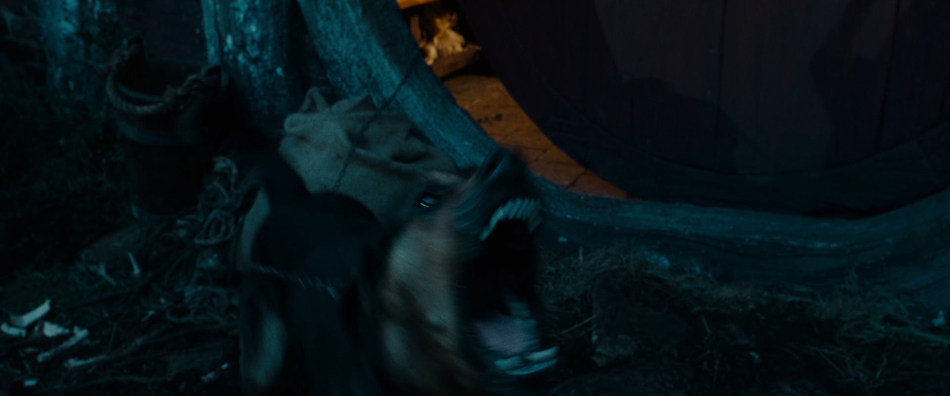 The Lord of the Rings: The Fellowship of the Ring (2001) screencap 3870