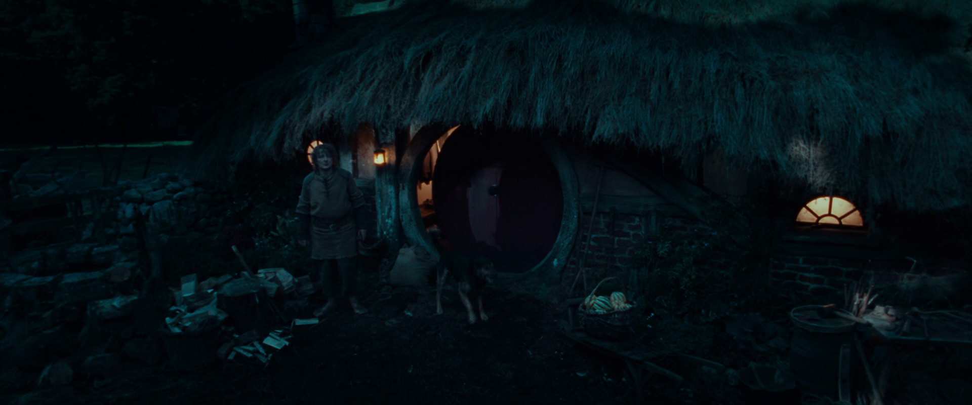 The Lord of the Rings: The Fellowship of the Ring (2001) HD screenshot 3878