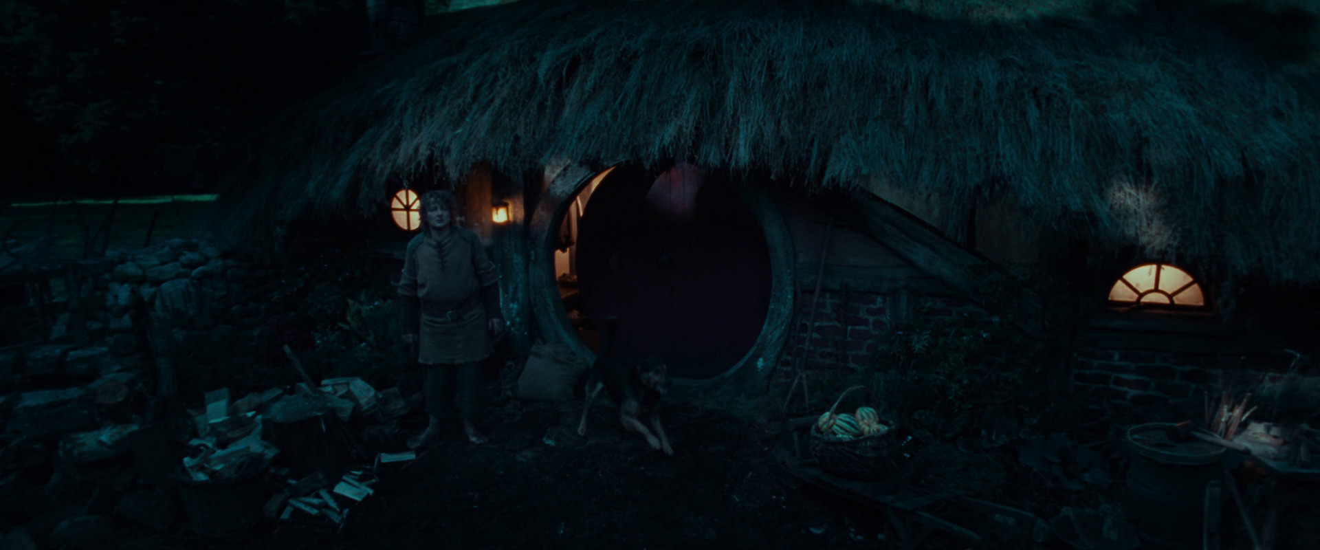 The Lord of the Rings: The Fellowship of the Ring (2001) screencap 3879