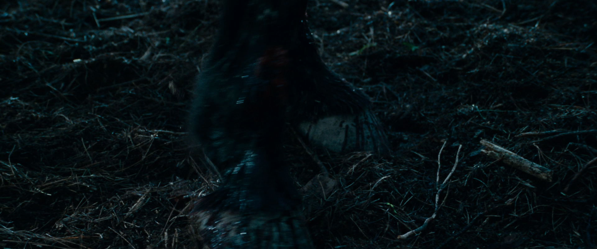 The Lord of the Rings: The Fellowship of the Ring (2001) screencap 3888