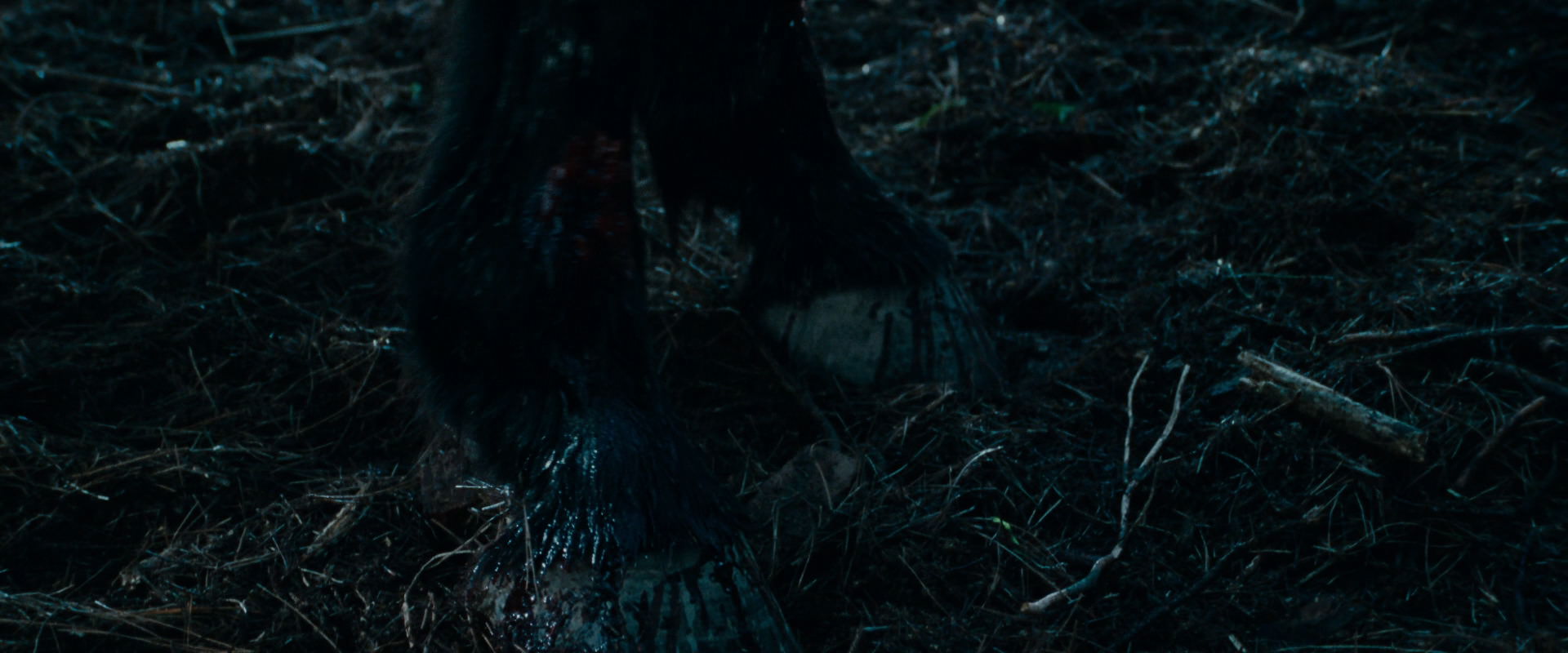 The Lord of the Rings: The Fellowship of the Ring (2001) movie still 3889