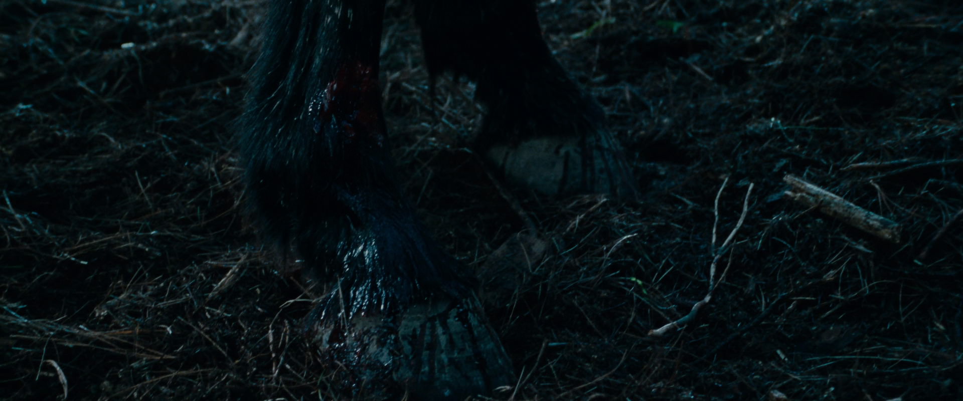 The Lord of the Rings: The Fellowship of the Ring (2001) HD screenshot 3890