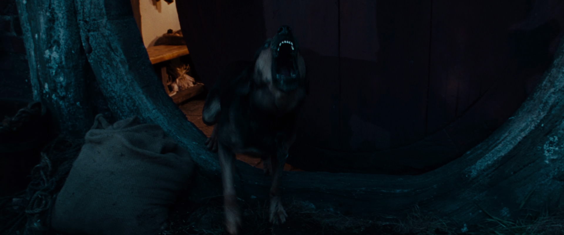 The Lord of the Rings: The Fellowship of the Ring (2001) screencap 3891