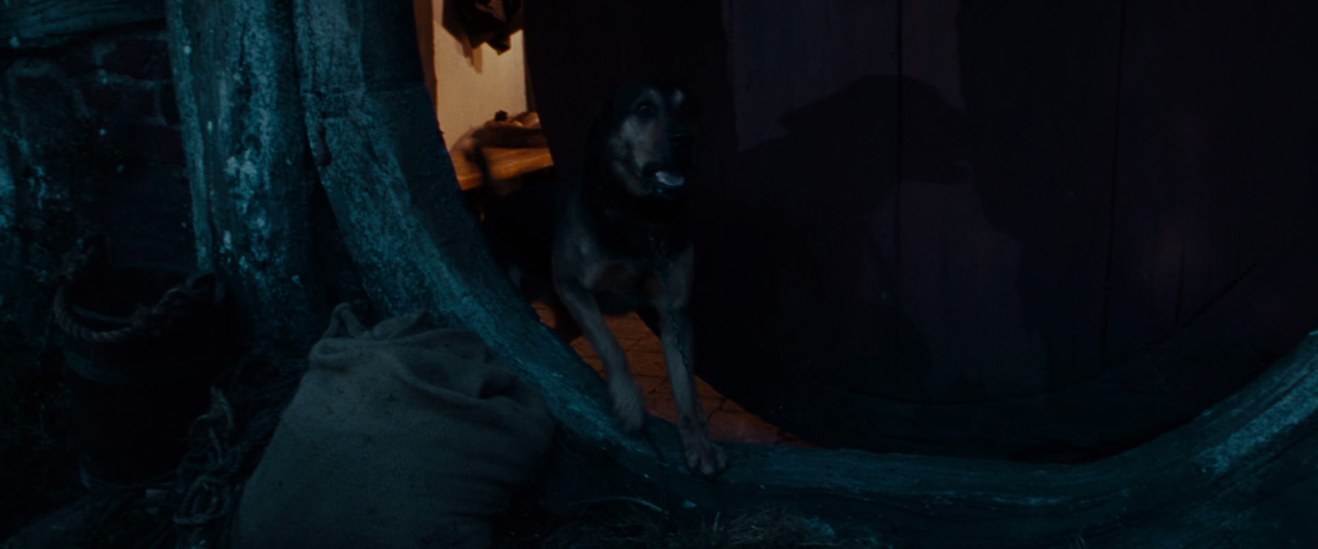 The Lord of the Rings: The Fellowship of the Ring (2001) HD screenshot 3893