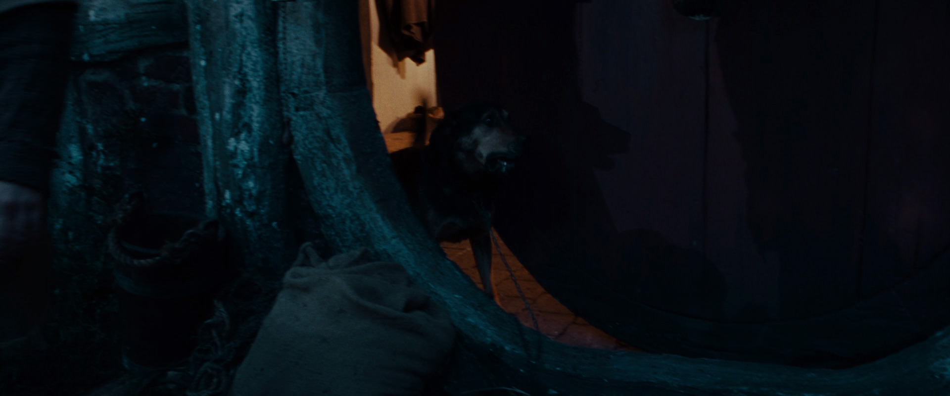 The Lord of the Rings: The Fellowship of the Ring (2001) screencap 3894