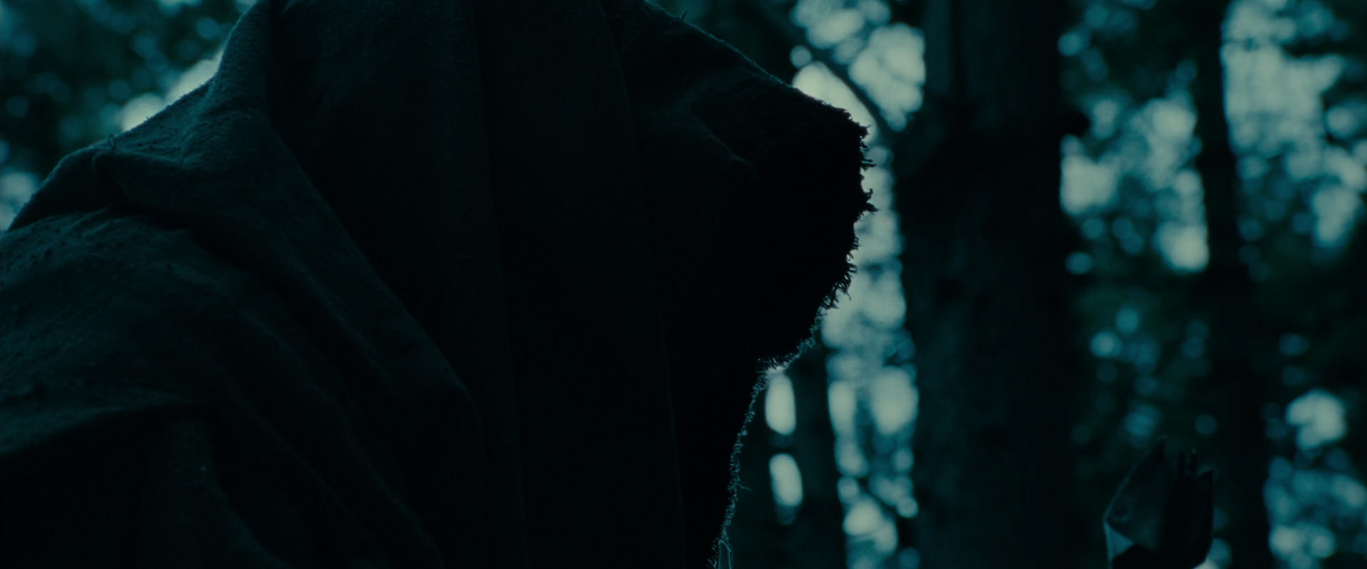 The Lord of the Rings: The Fellowship of the Ring (2001) movie still 3895