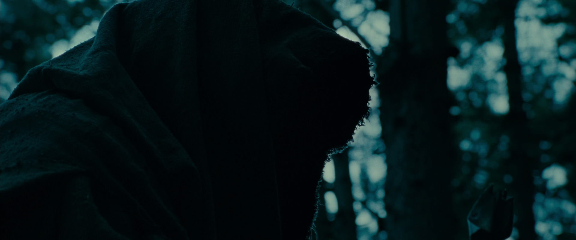 The Lord of the Rings: The Fellowship of the Ring (2001) HD screenshot 3896
