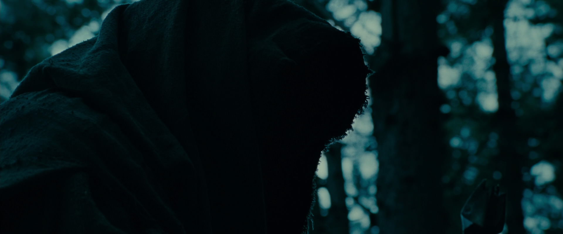 The Lord of the Rings: The Fellowship of the Ring (2001) screencap 3897