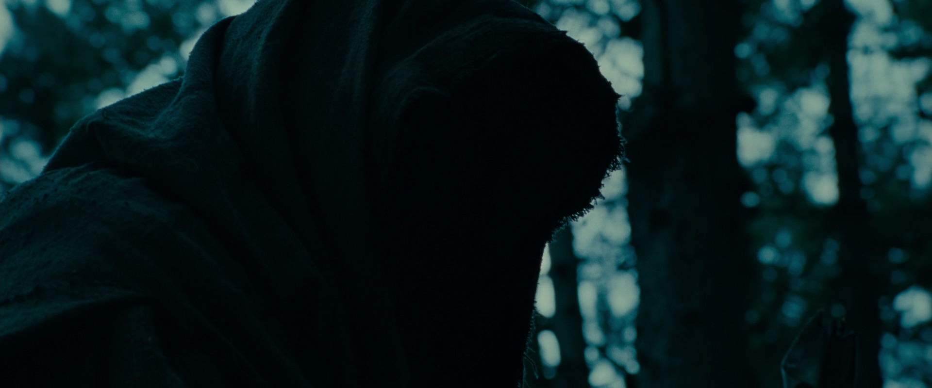 The Lord of the Rings: The Fellowship of the Ring (2001) HD screenshot 3899