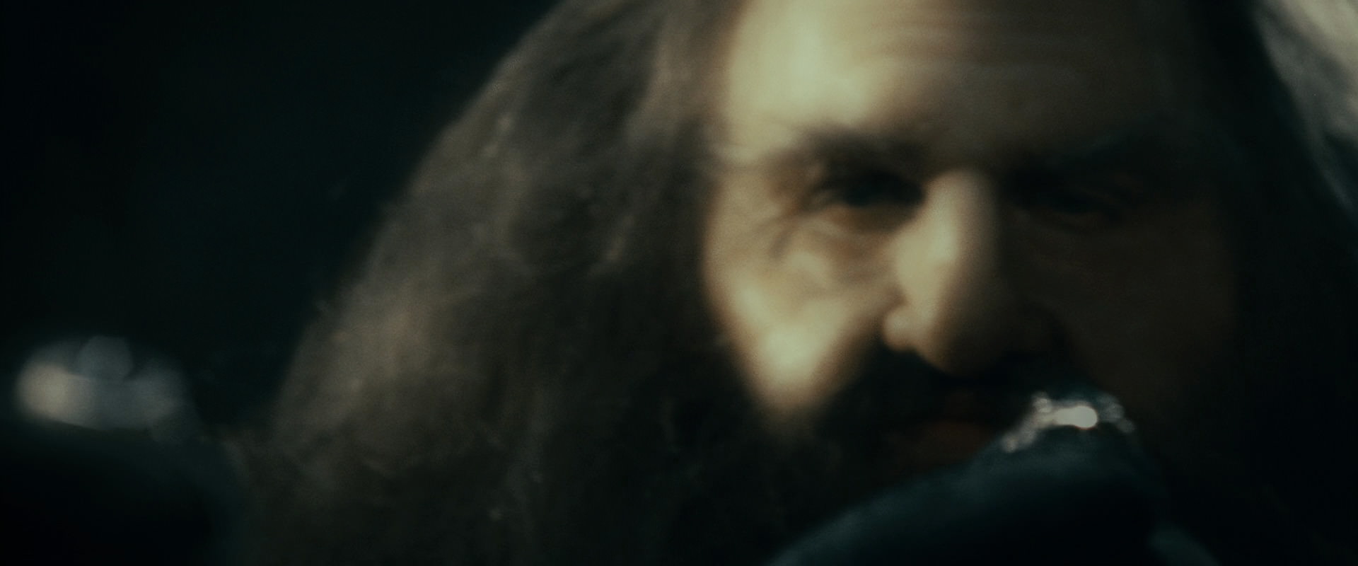 The Lord of the Rings: The Fellowship of the Ring (2001) screencap 39