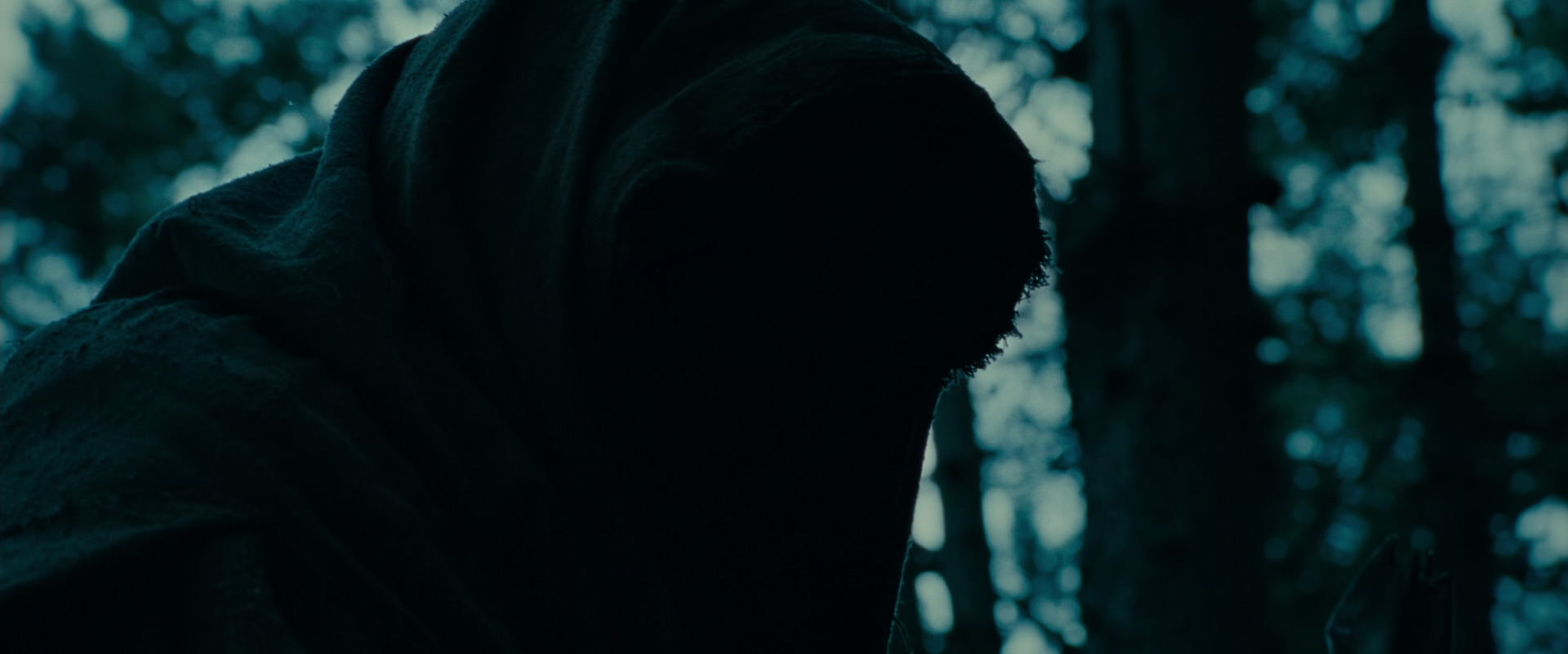 The Lord of the Rings: The Fellowship of the Ring (2001) screencap 3900