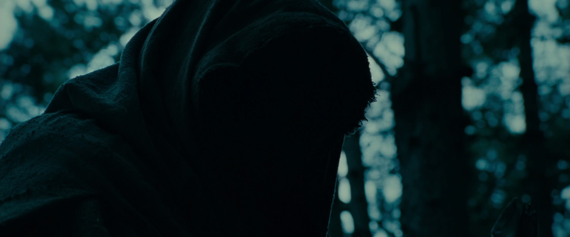 The Lord of the Rings: The Fellowship of the Ring (2001) HD screenshot 3902