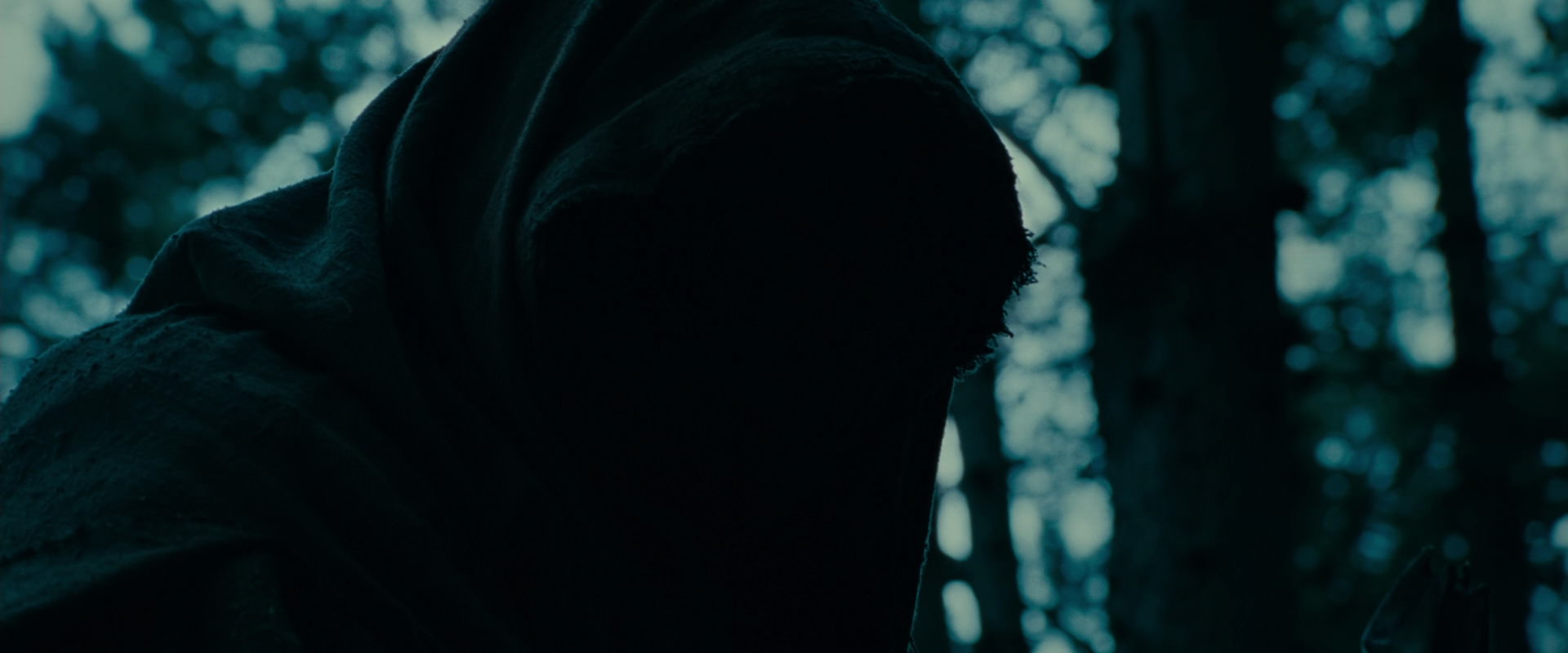 The Lord of the Rings: The Fellowship of the Ring (2001) screencap 3903