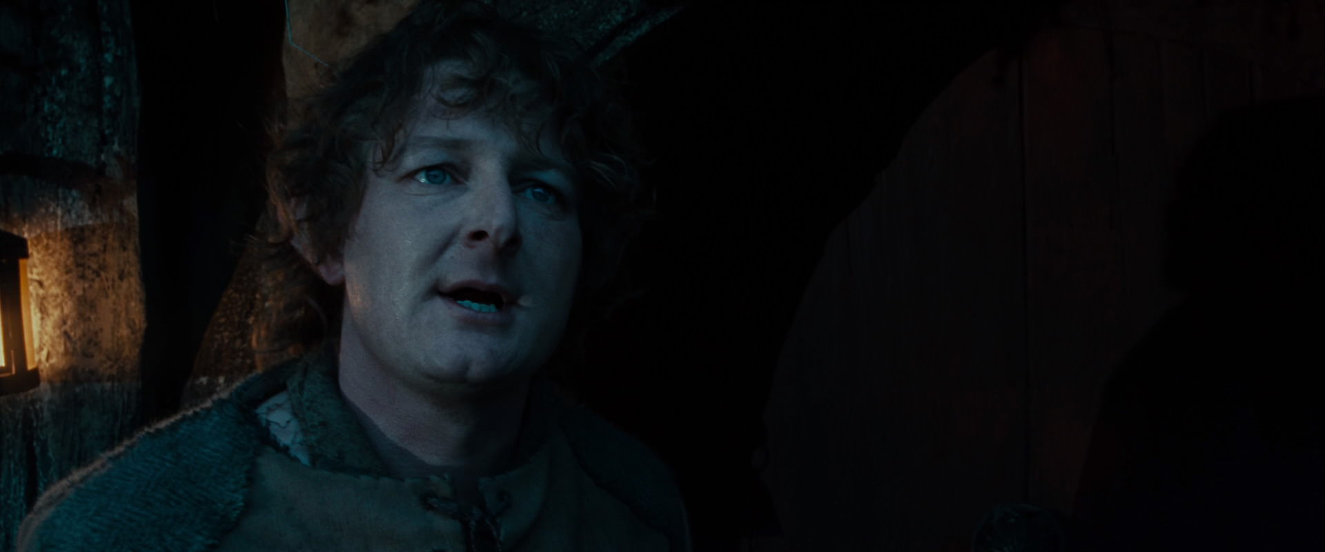 The Lord of the Rings: The Fellowship of the Ring (2001) screencap 3909