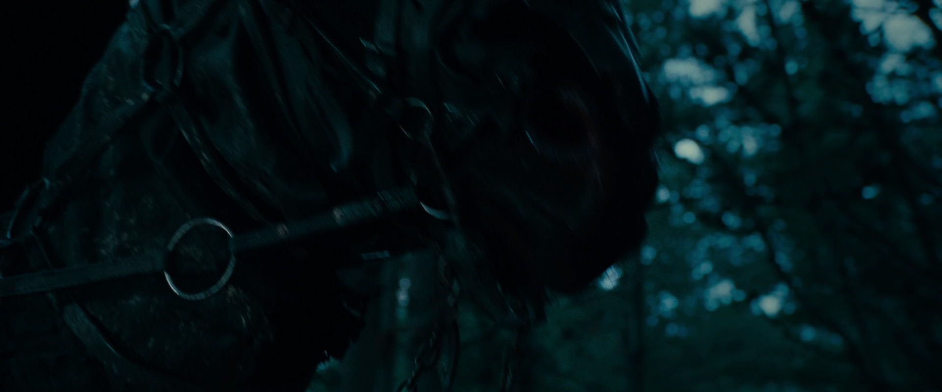 The Lord of the Rings: The Fellowship of the Ring (2001) screencap 3912