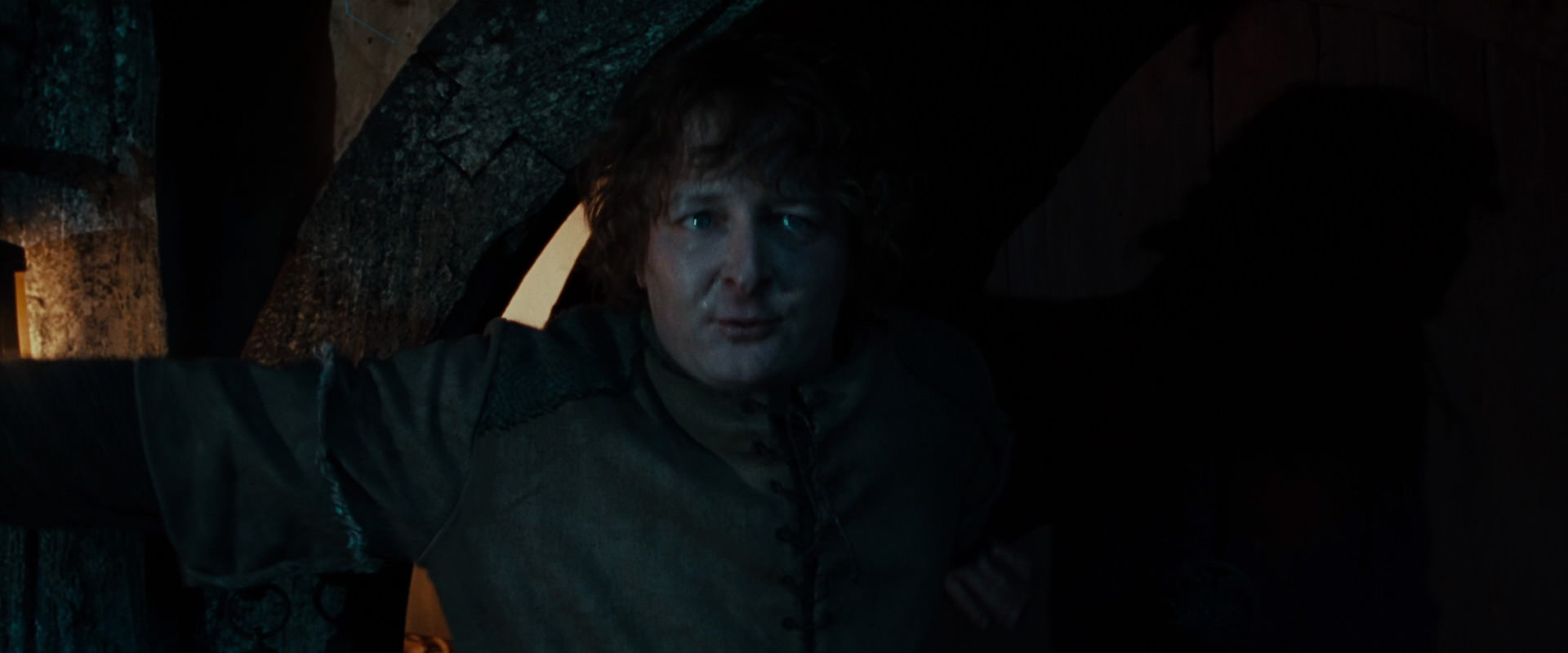 The Lord of the Rings: The Fellowship of the Ring (2001) screencap 3918