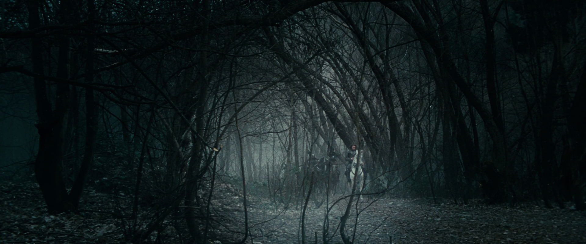 The Lord of the Rings: The Fellowship of the Ring (2001) screencap 393