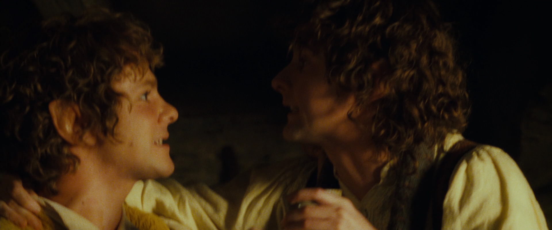 The Lord of the Rings: The Fellowship of the Ring (2001) screencap 3951
