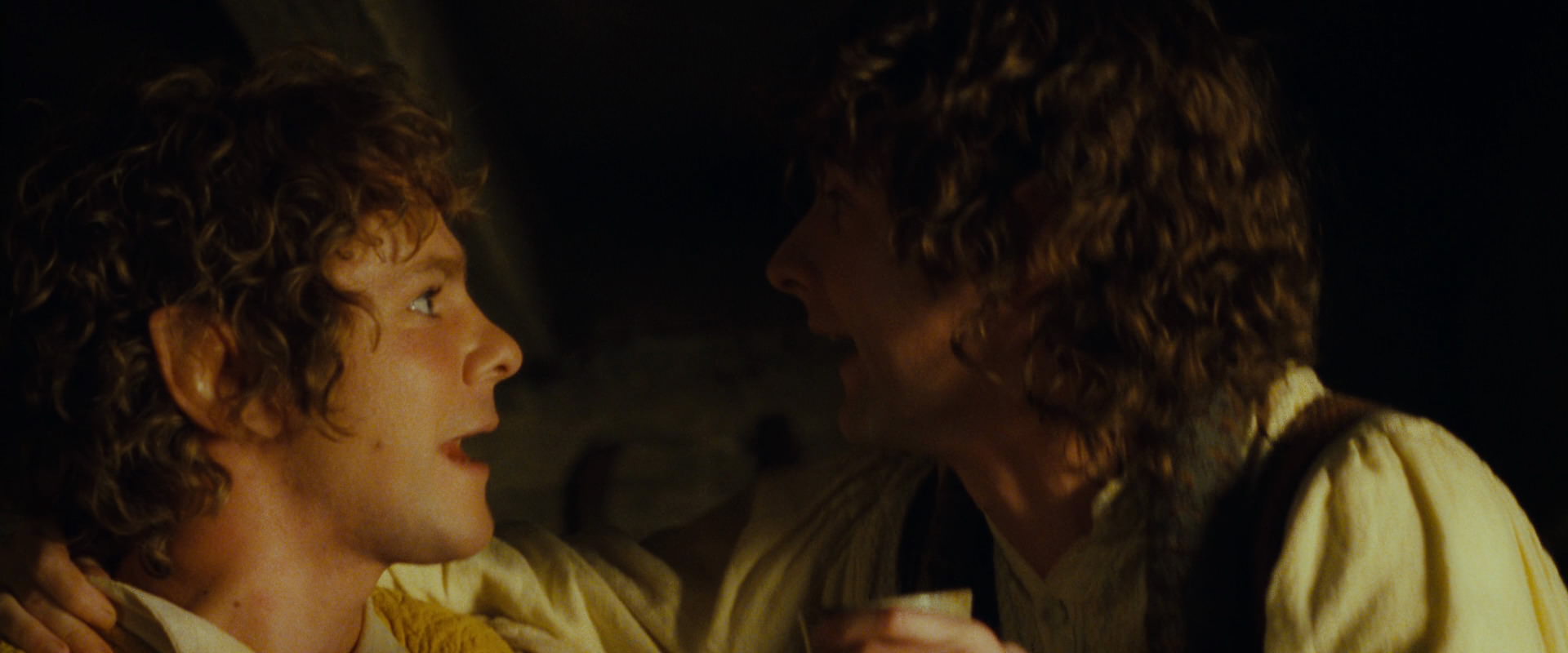 The Lord of the Rings: The Fellowship of the Ring (2001) HD screenshot 3953