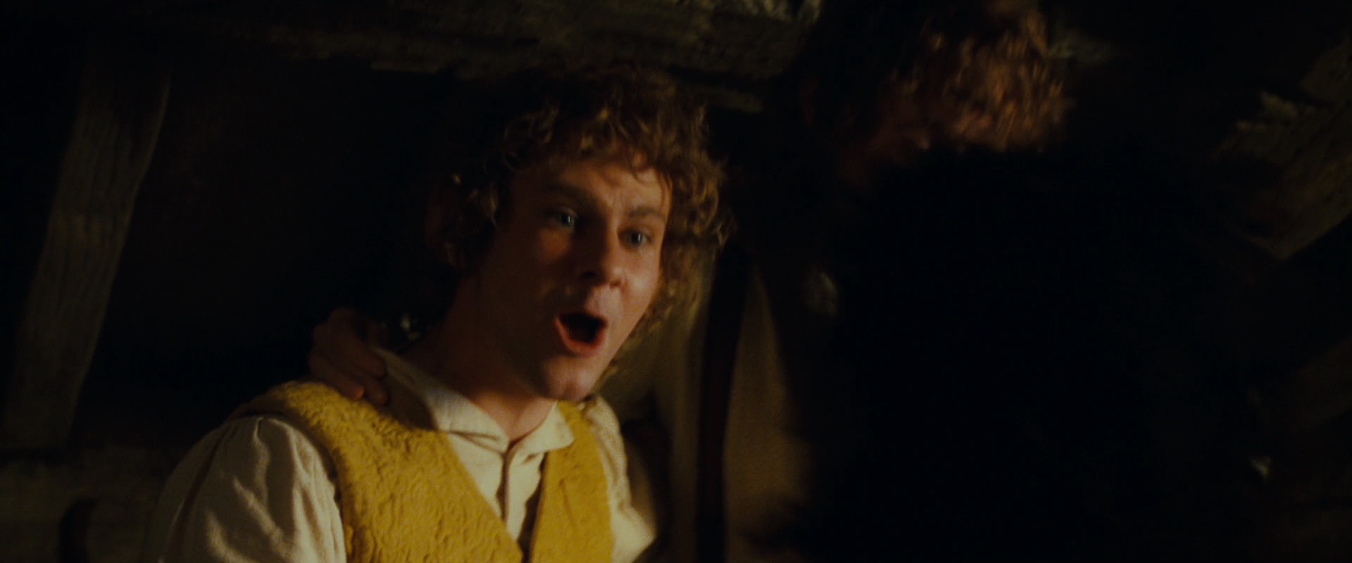 The Lord of the Rings: The Fellowship of the Ring (2001) movie still 3961