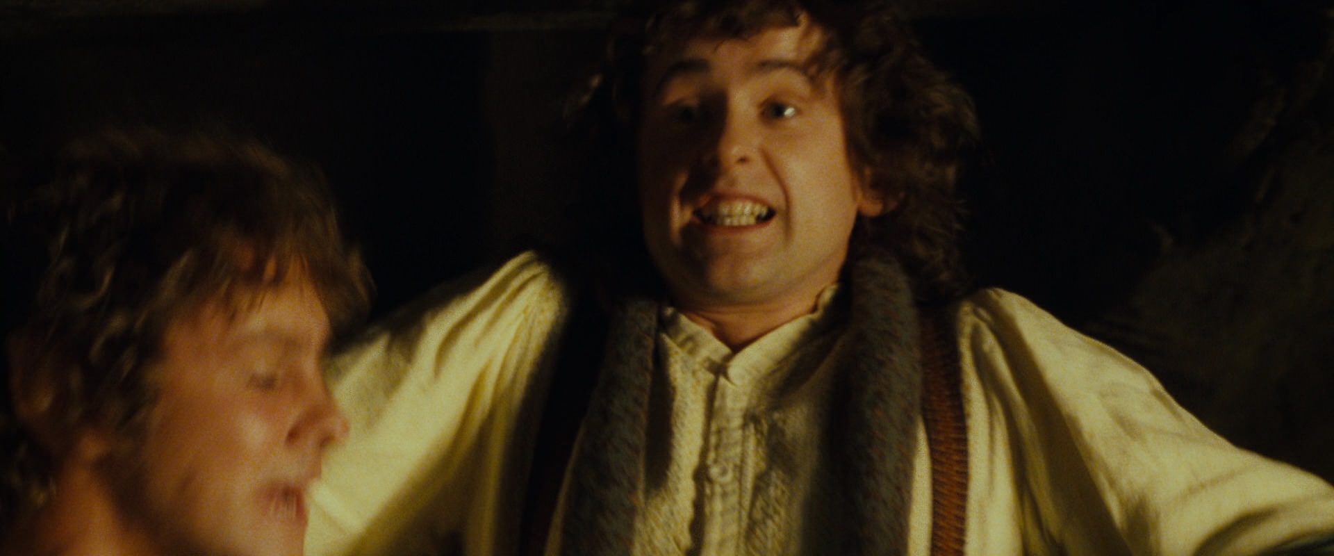 The Lord of the Rings: The Fellowship of the Ring (2001) screencap 3963