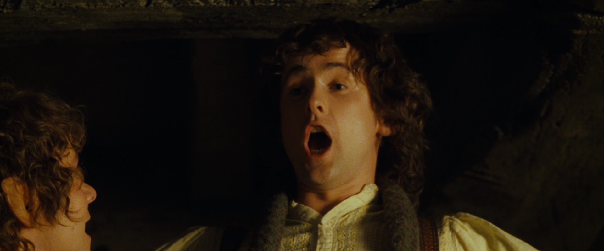 The Lord of the Rings: The Fellowship of the Ring (2001) movie still 3964