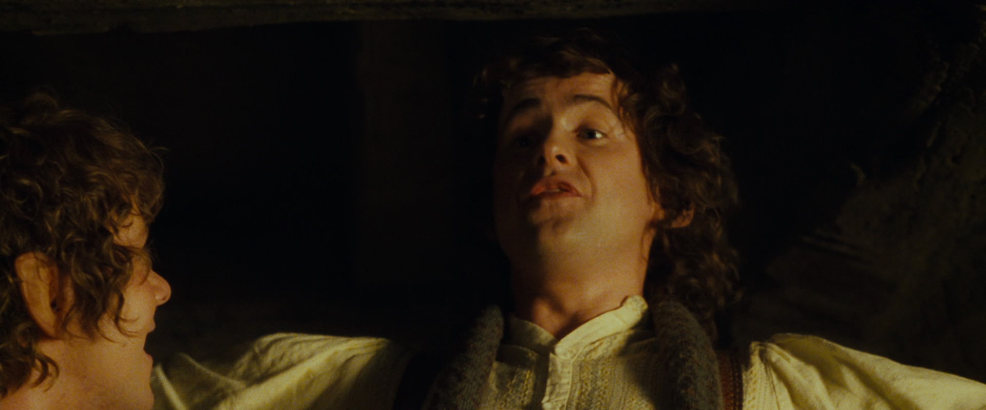 The Lord of the Rings: The Fellowship of the Ring (2001) screencap 3966
