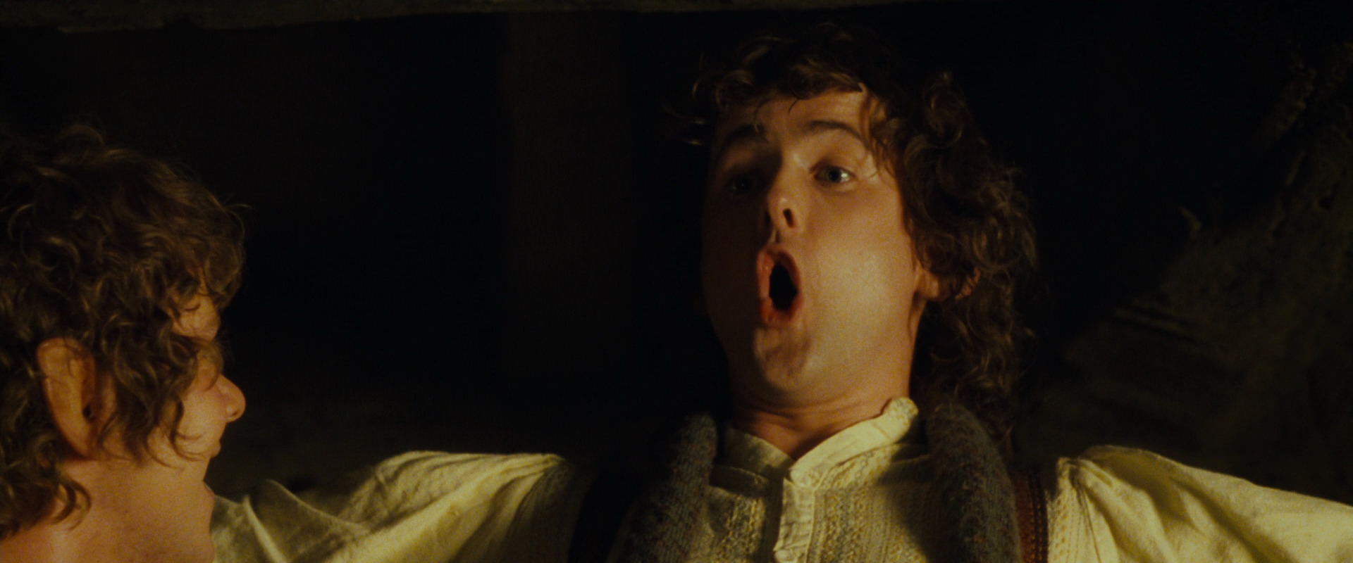 The Lord of the Rings: The Fellowship of the Ring (2001) movie still 3967