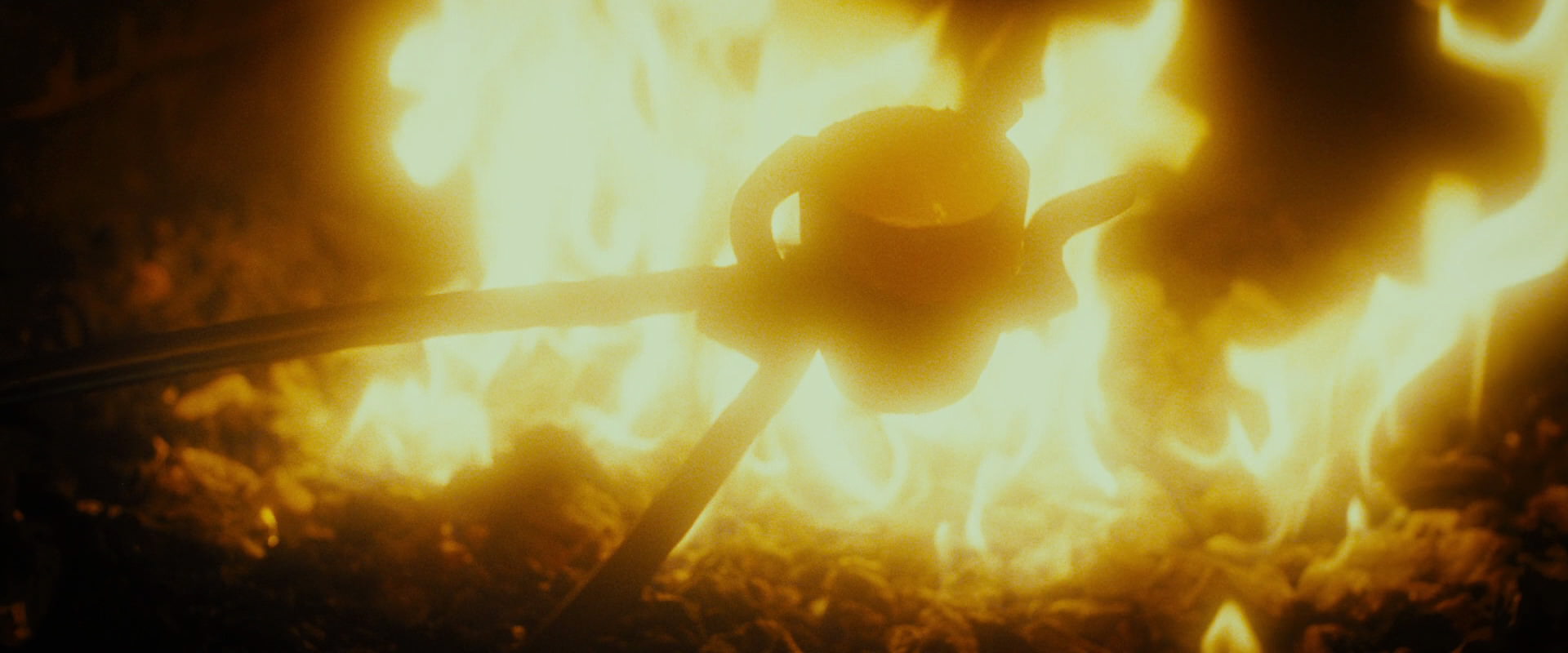 The Lord of the Rings: The Fellowship of the Ring (2001) movie still 4