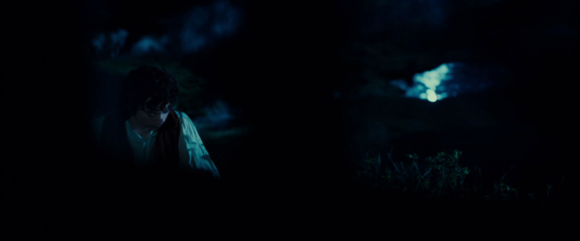 The Lord of the Rings: The Fellowship of the Ring (2001) screencap 4092