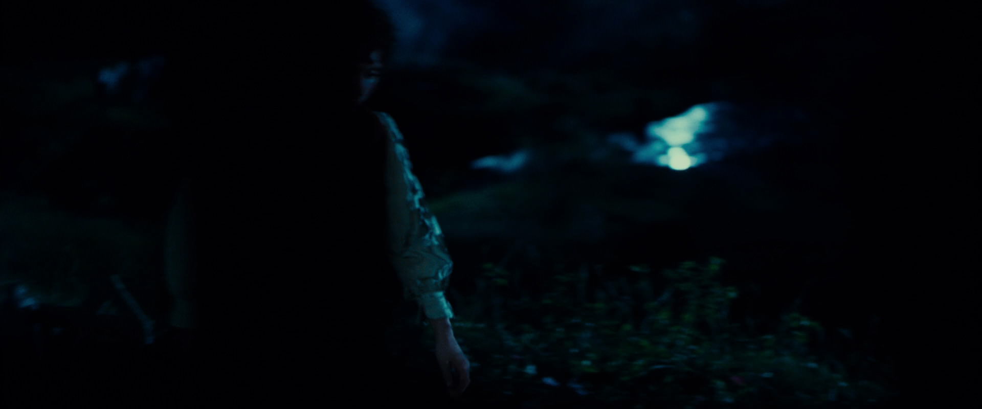 The Lord of the Rings: The Fellowship of the Ring (2001) HD screenshot 4094