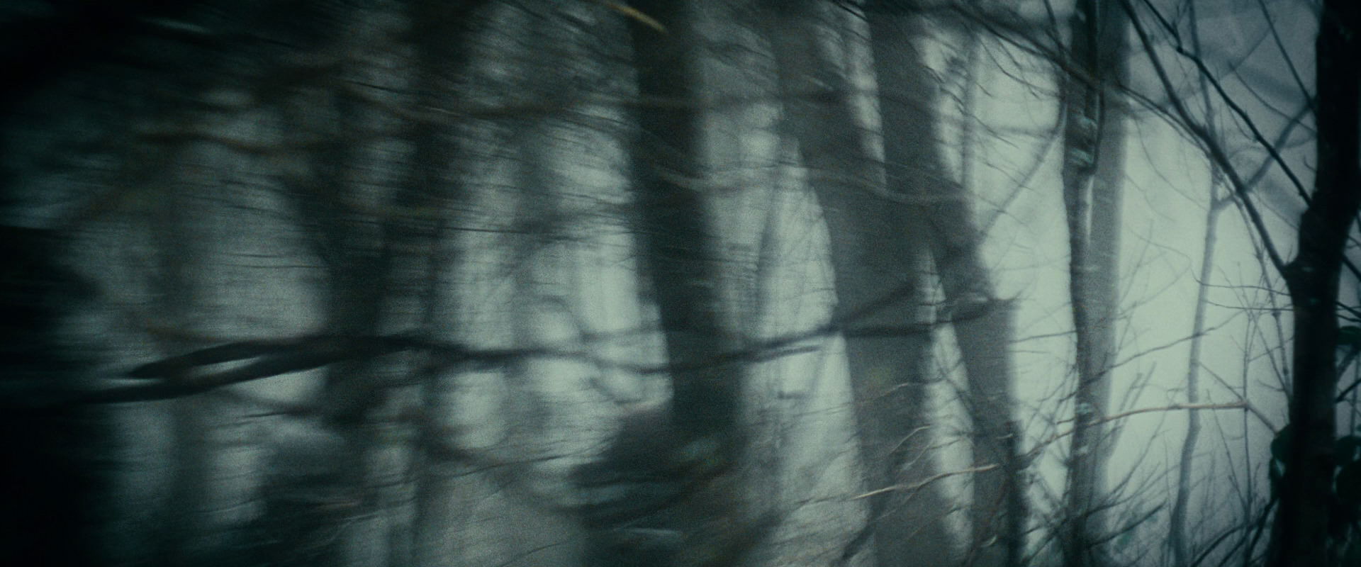 The Lord of the Rings: The Fellowship of the Ring (2001) screencap 411