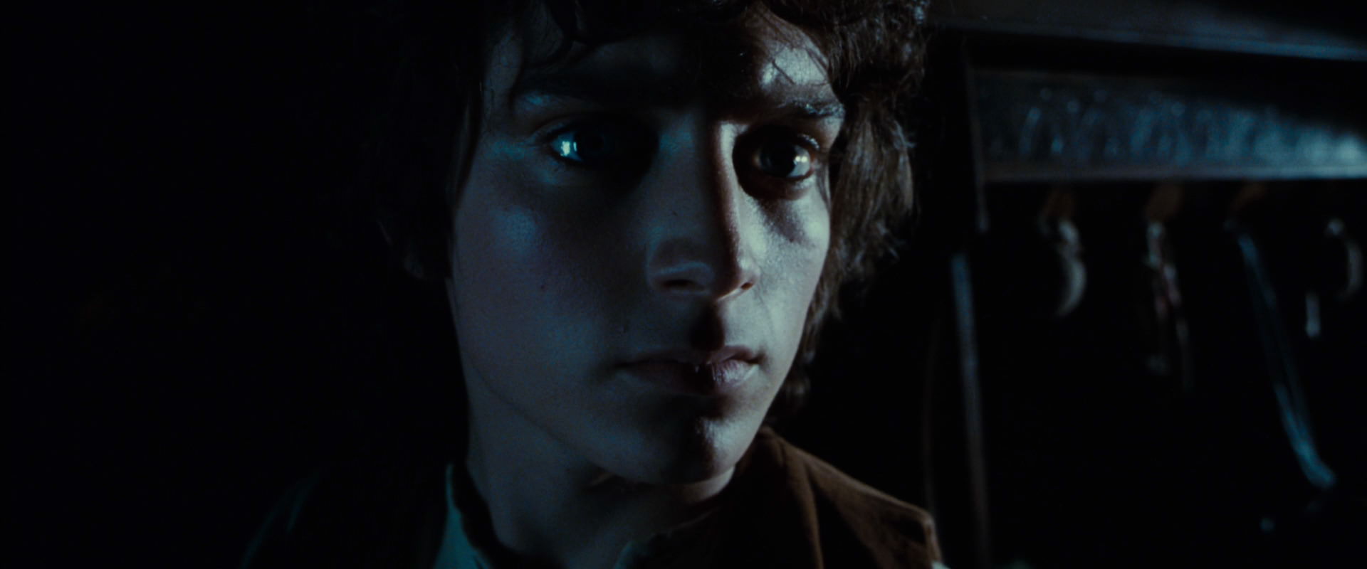 The Lord of the Rings: The Fellowship of the Ring (2001) screencap 4137