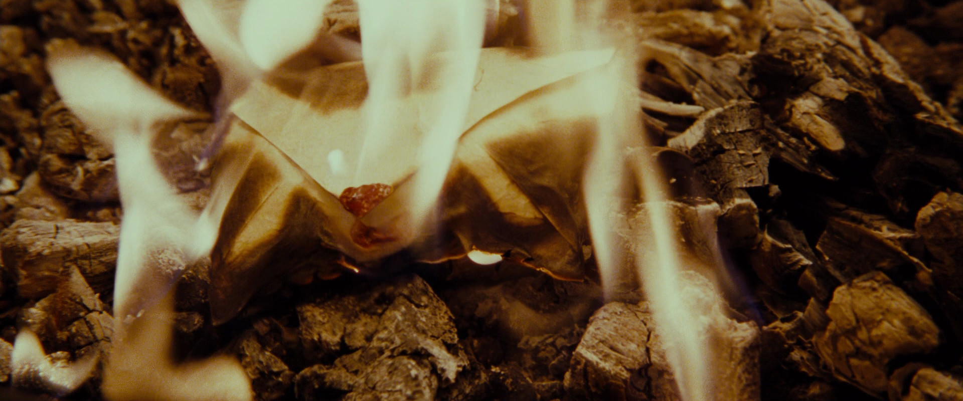 The Lord of the Rings: The Fellowship of the Ring (2001) screencap 4173