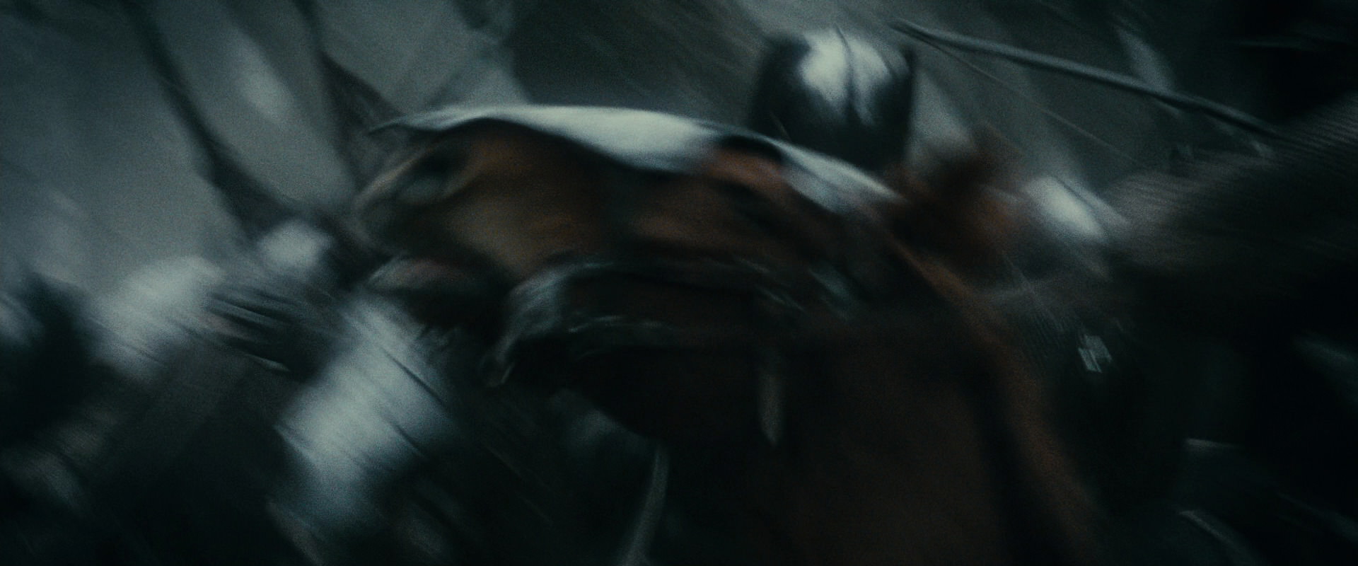 The Lord of the Rings: The Fellowship of the Ring (2001) screencap 420
