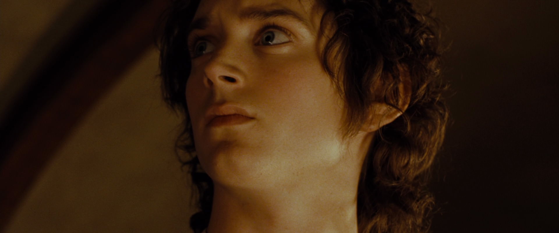The Lord of the Rings: The Fellowship of the Ring (2001) screencap 4200