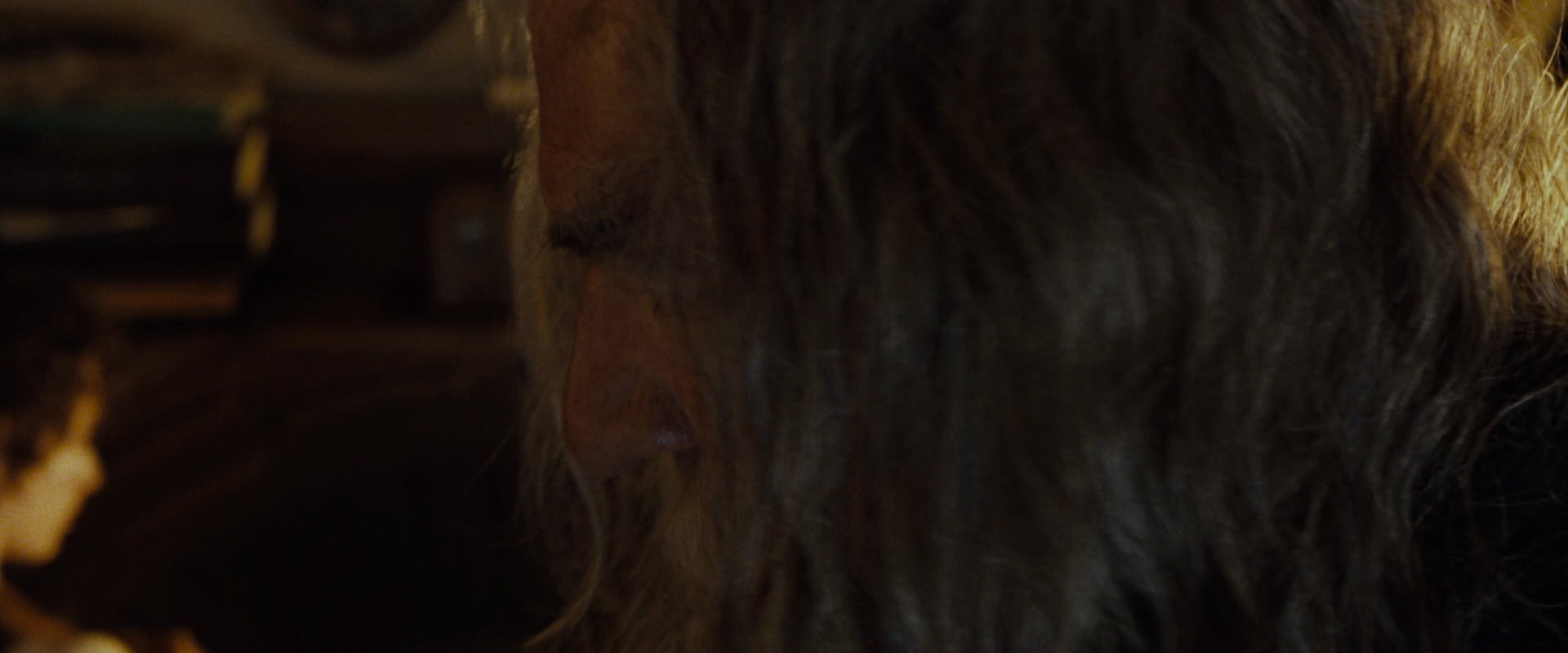 The Lord of the Rings: The Fellowship of the Ring (2001) HD screenshot 4277