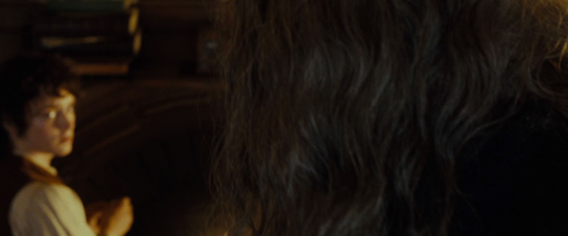The Lord of the Rings: The Fellowship of the Ring (2001) screencap 4278