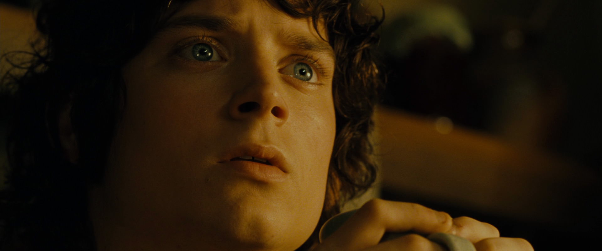 The Lord of the Rings: The Fellowship of the Ring (2001) screencap 4338