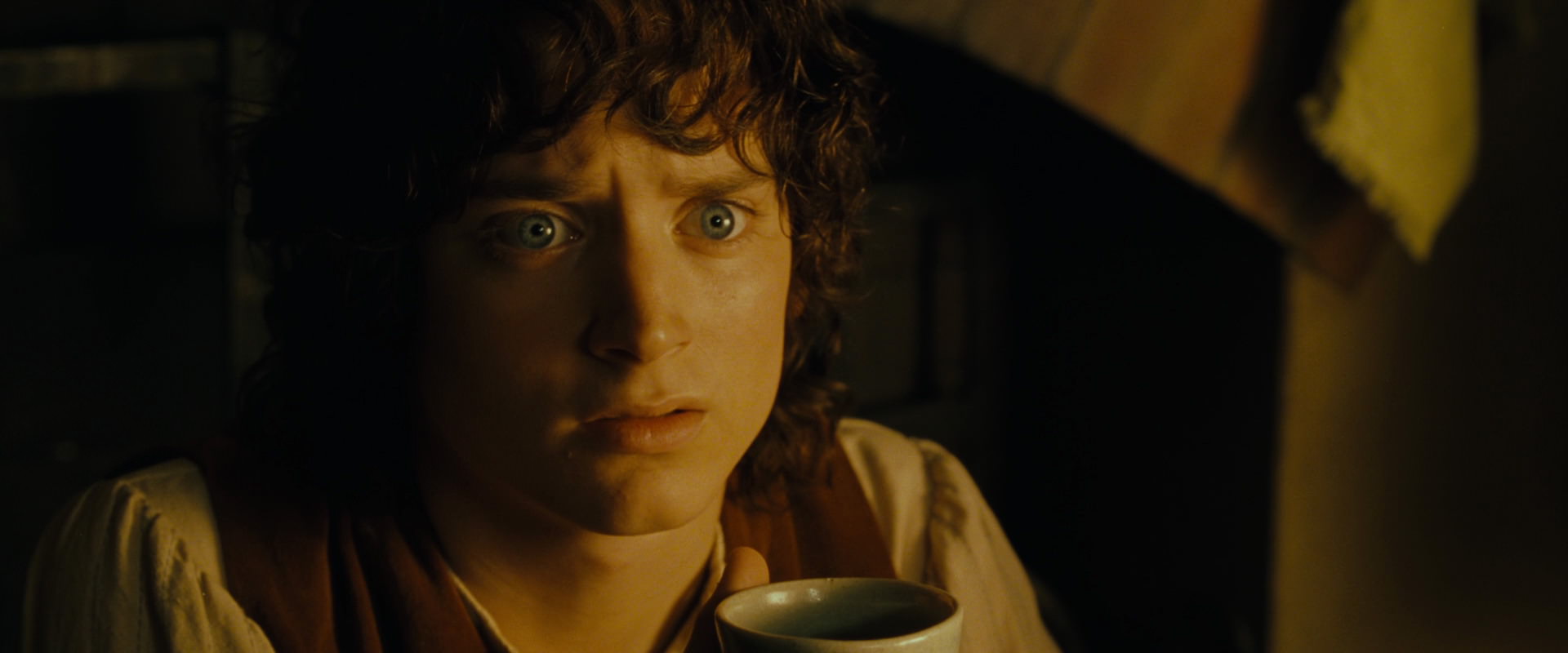 The Lord of the Rings: The Fellowship of the Ring (2001) screencap 4362