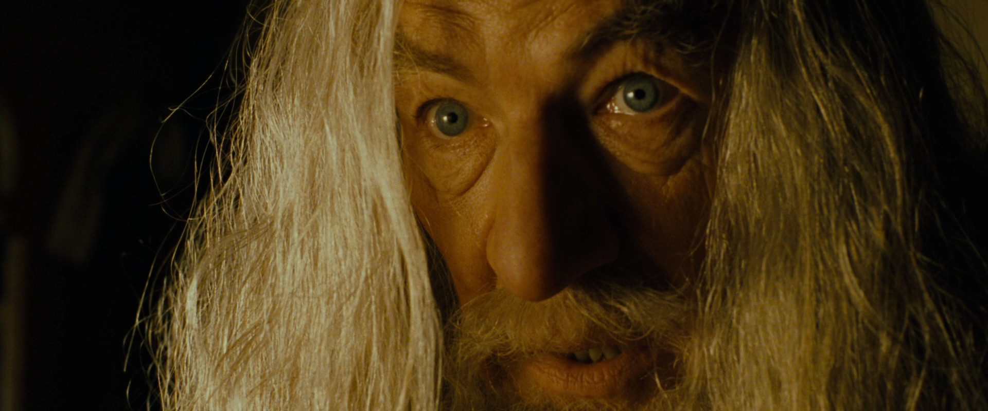 The Lord of the Rings: The Fellowship of the Ring (2001) screencap 4383