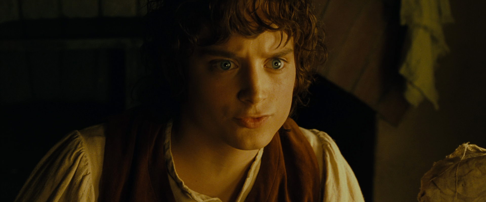 The Lord of the Rings: The Fellowship of the Ring (2001) screencap 4389